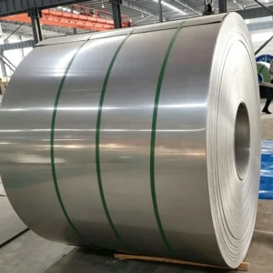 310S Stainless Steel